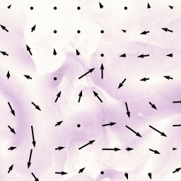 Offroad - wind preview